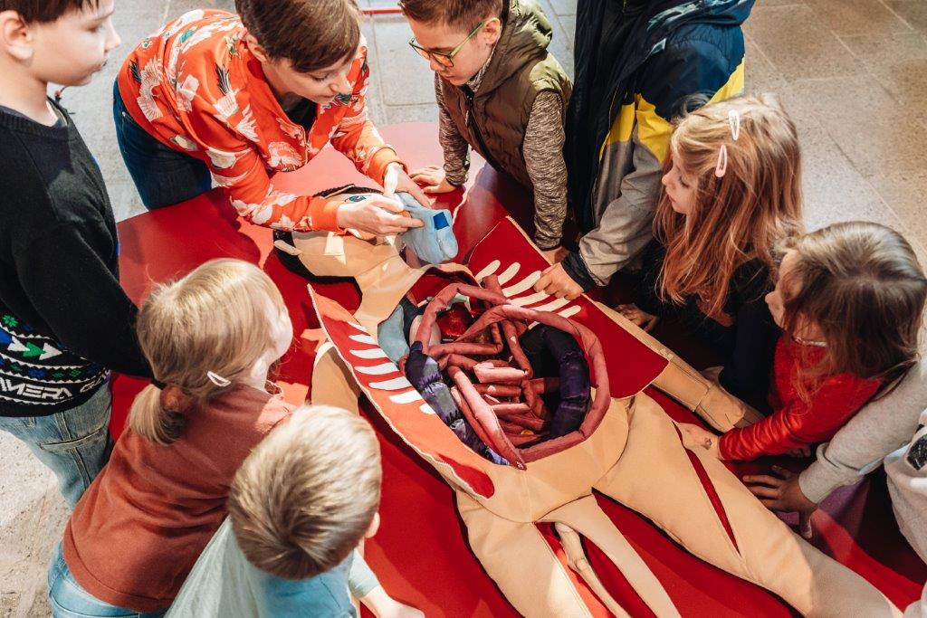 Mitmachausstellung: Von Kopf bis Fuß